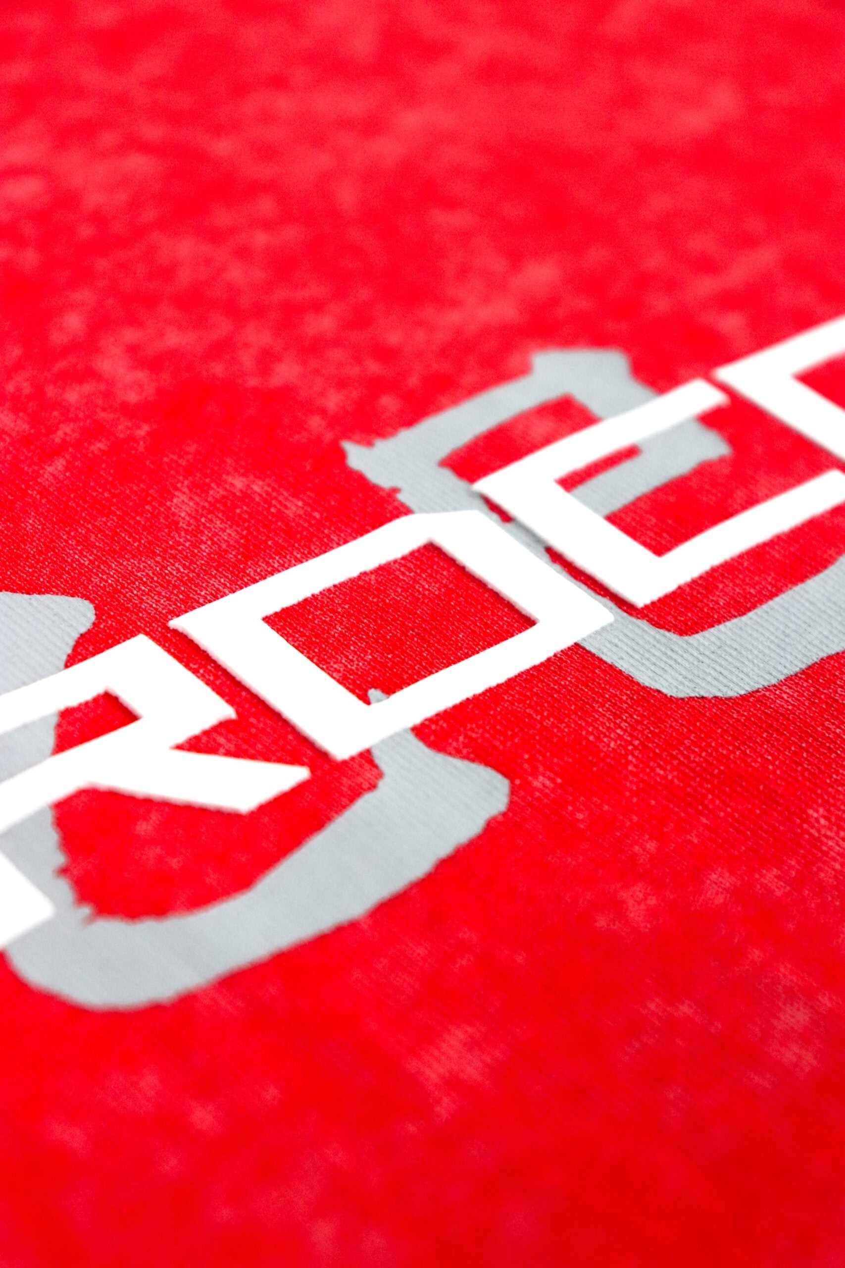 Stoned Snake Bone Washed Tee Red