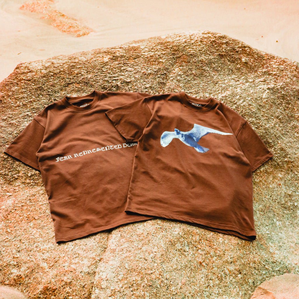 Demons Dust Bird Logo Tee Brown